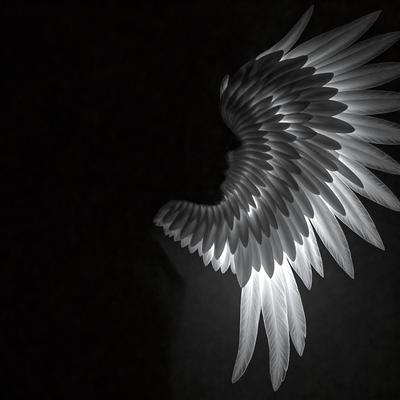 The primary subject of the image is a white bird with a large wing, possibly a butterfly or an angel. The bird is flying in the air, and its wings are spread out, creating a sense of motion and freedom. The setting is a dark background, which emphasizes the bird's silhouette and adds a dramatic effect to the image. The visual style is a combination of photo and digital art, as the bird appears to be a blend of both. The colors and mood of the image are predomin